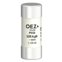 Pojistka PV22 vel.22×58 18271 gG 125A OEZ