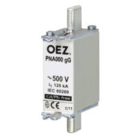 Pojistka PN000 gG 10A 40478 OEZ
